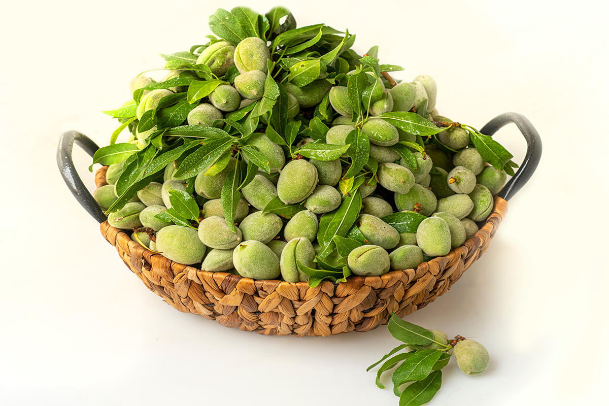 چاقاله بادام کاغذی(بادام سبز)