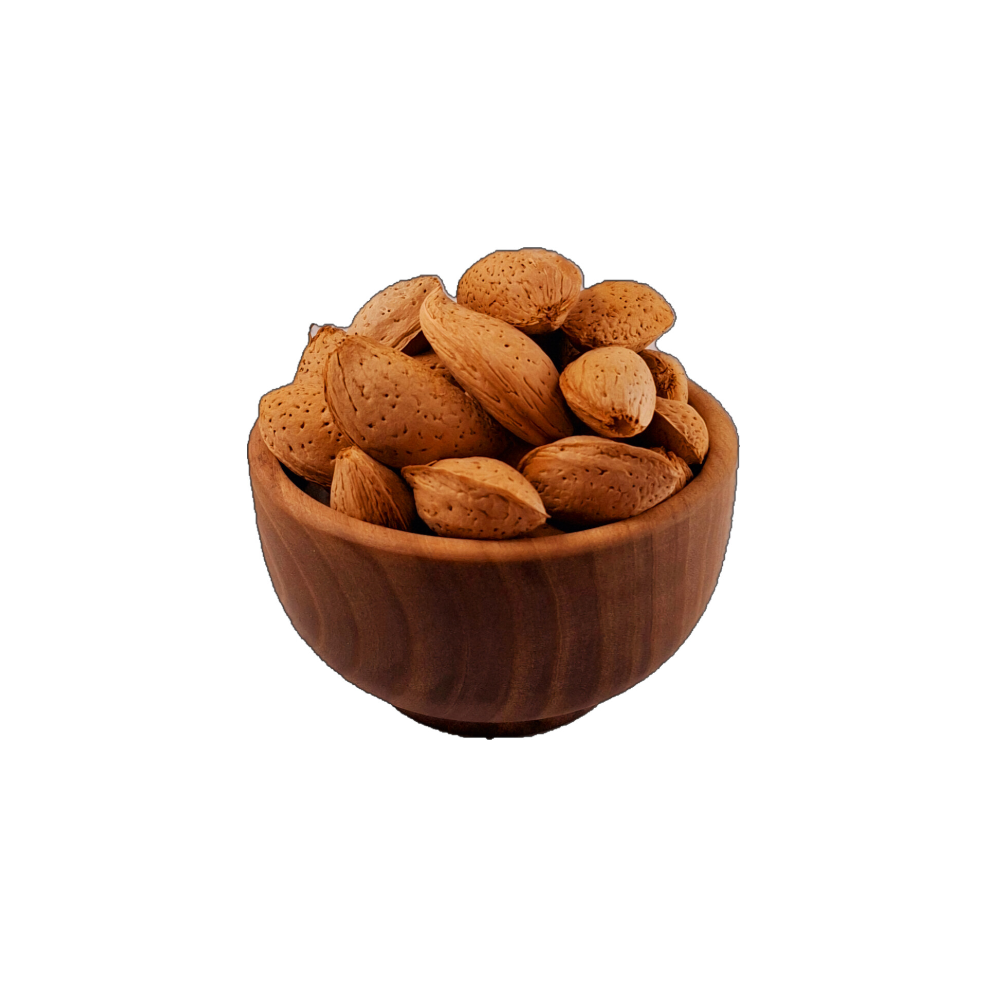 بادام ربی