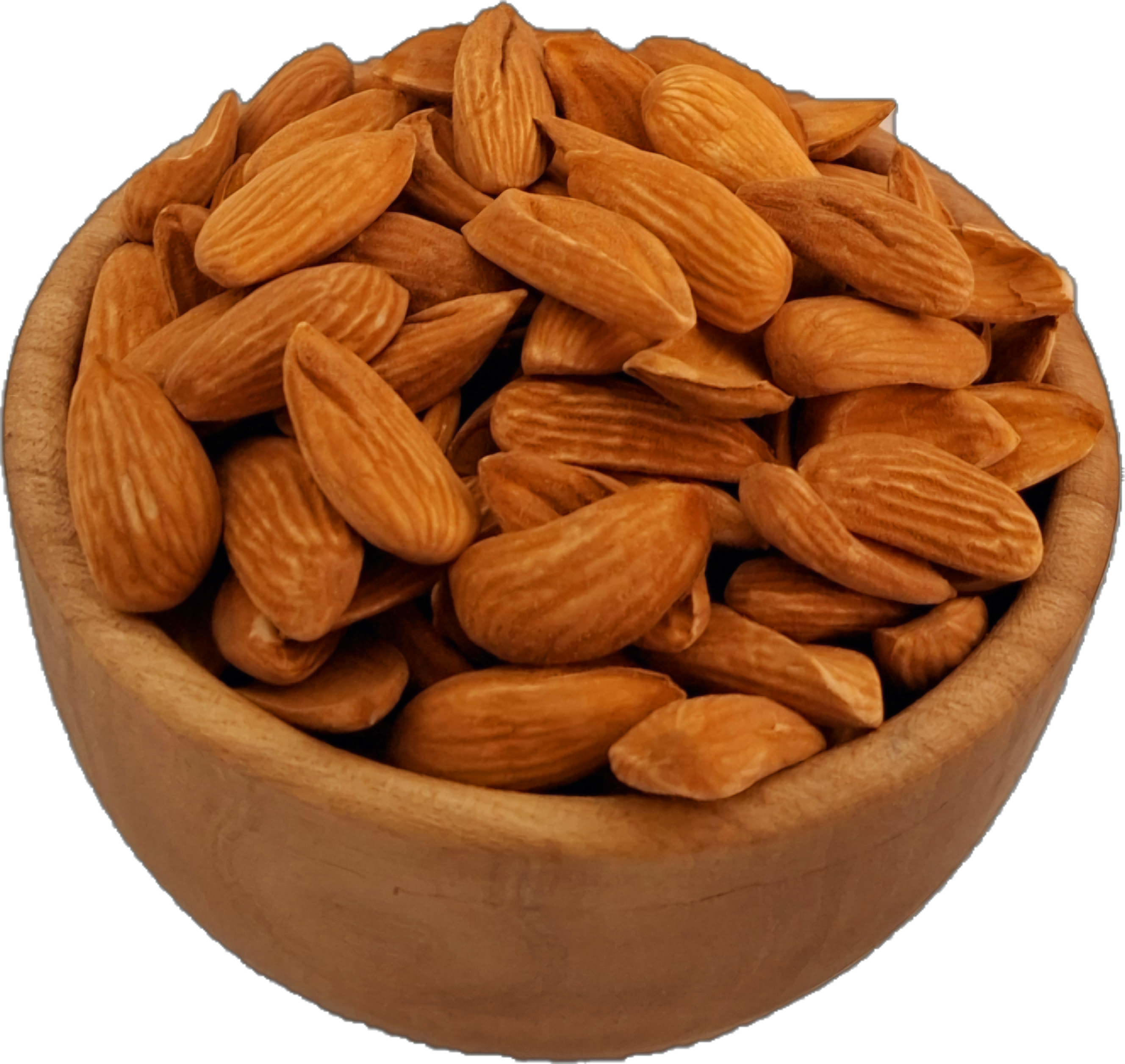 شاهرودی12
